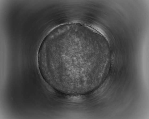 X0000089691047200707121332