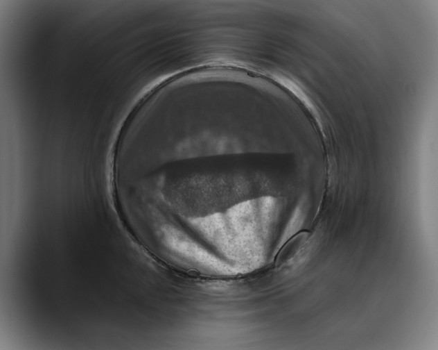 X0000089691048200707121332