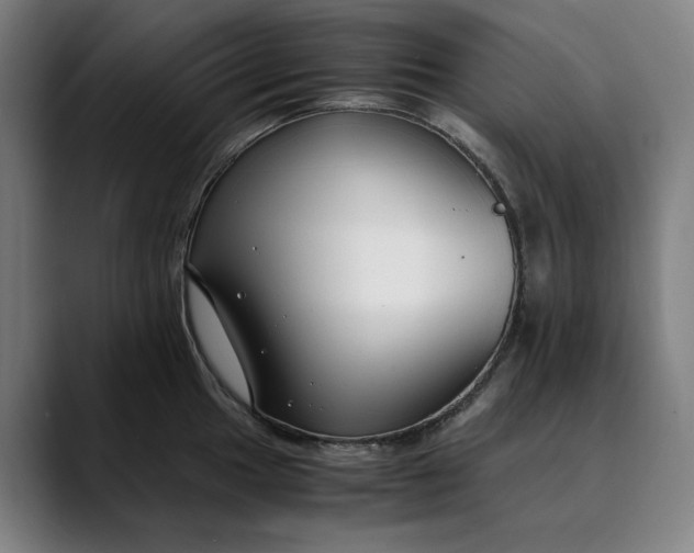 X0000089691049200707121332