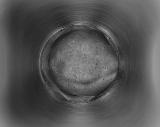 X0000089691050200707121332