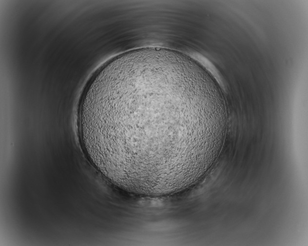 X0000089691051200707121332