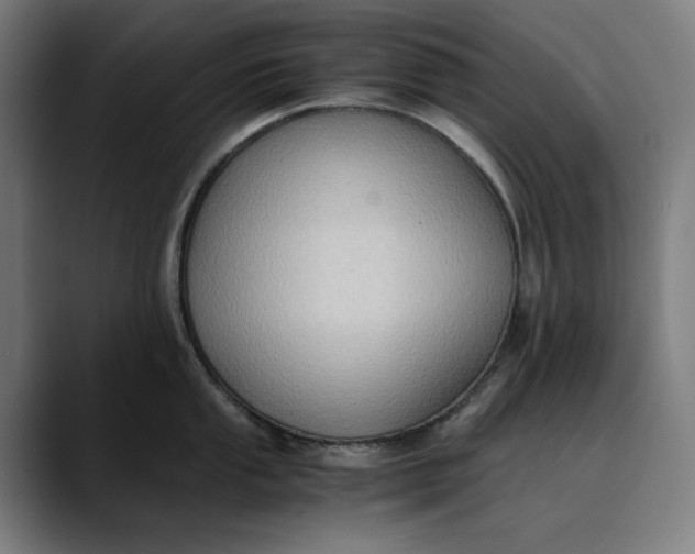 X0000089691053200707121333