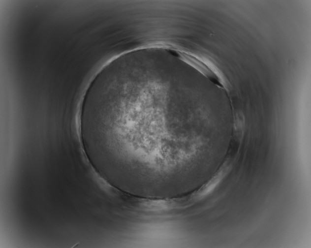 X0000089691054200707121333