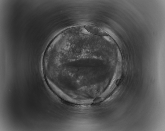 X0000089691055200707121333