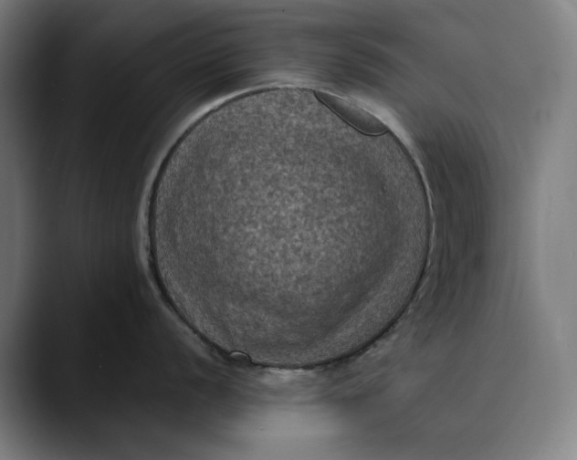 X0000089691056200707121333