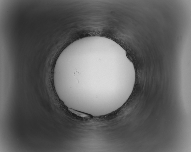 X0000089691057200707121332