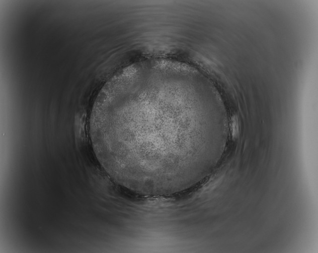 X0000089691059200707121332