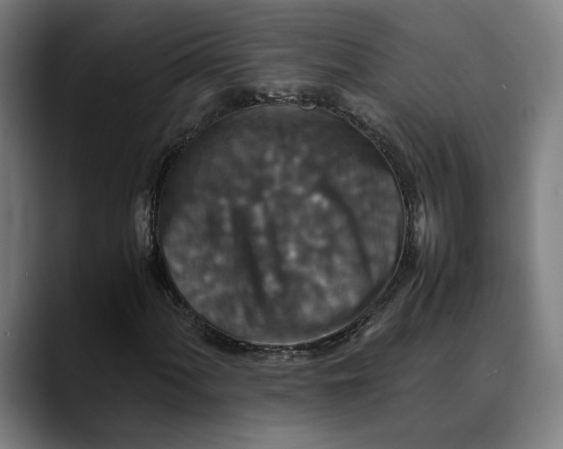 X0000089691060200707121332