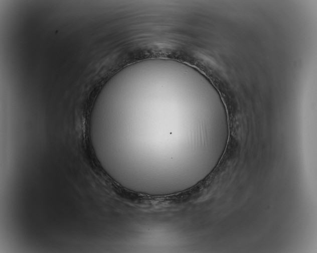 X0000089691061200707121332