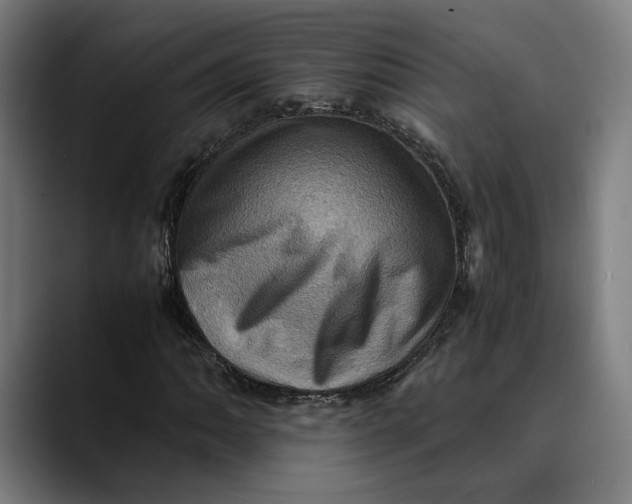 X0000089691062200707121332