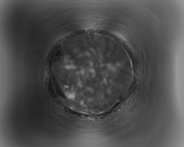 X0000089691063200707121332