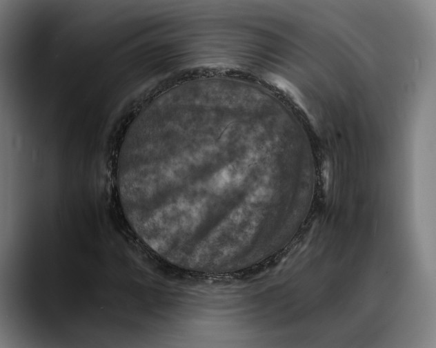 X0000089691064200707121332