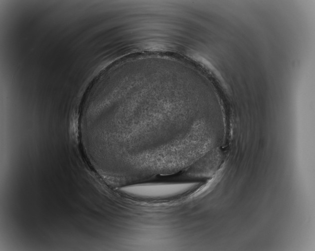 X0000089691065200707121332