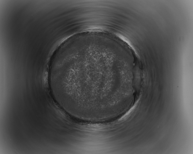 X0000089691066200707121332