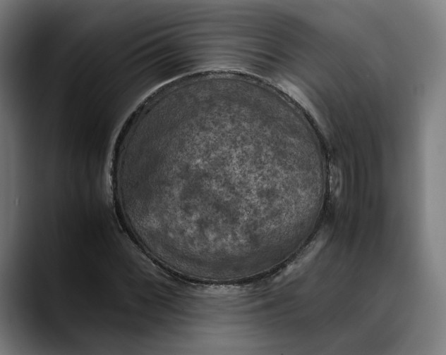 X0000089691068200707121332