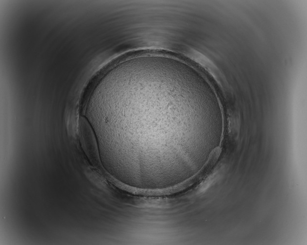 X0000089691069200707121332