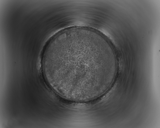 X0000089691070200707121332