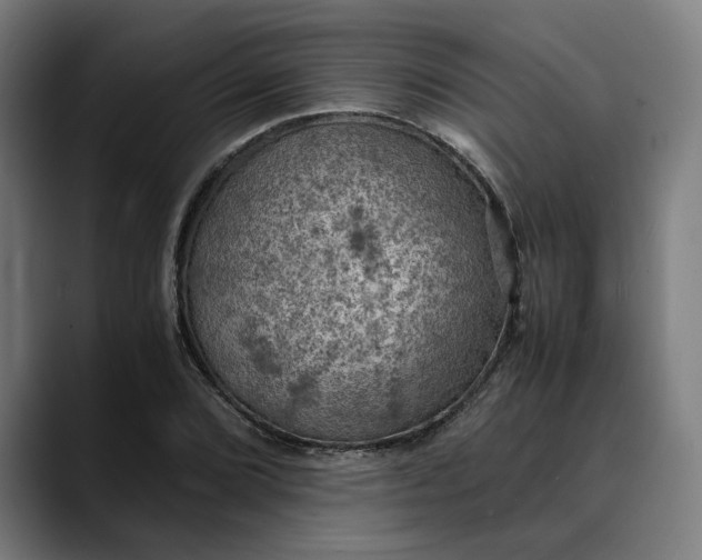 X0000089691072200707121332