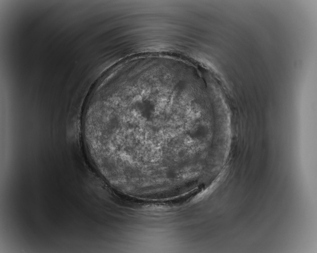 X0000089691073200707121332