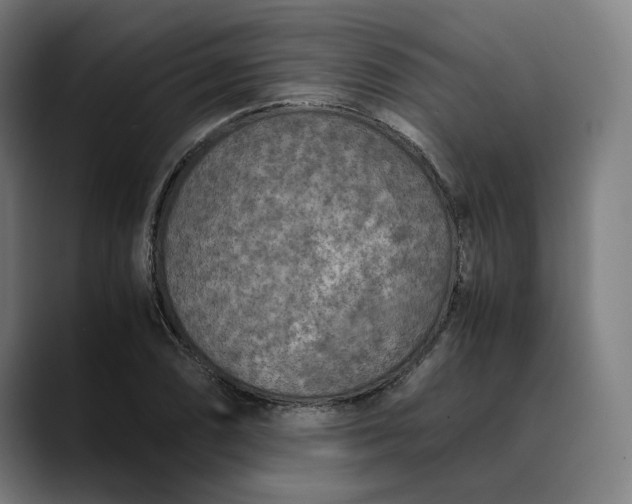 X0000089691074200707121332