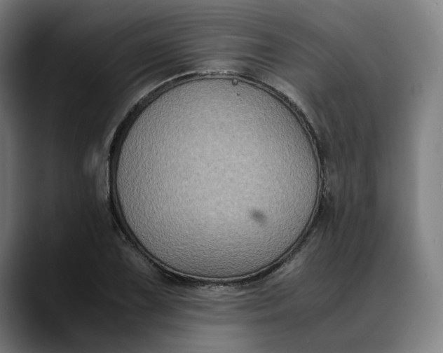 X0000089691075200707121332