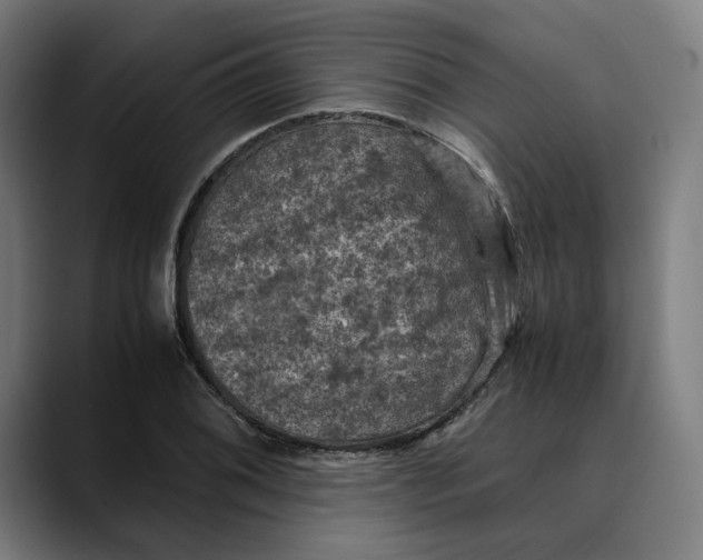 X0000089691076200707121332