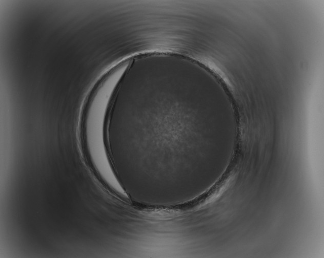 X0000089691077200707121332