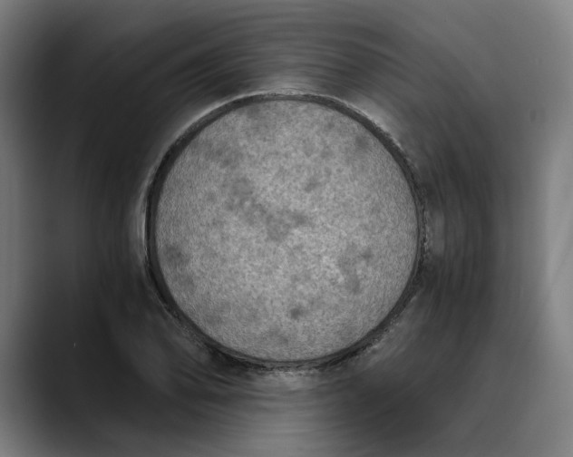 X0000089691078200707121332