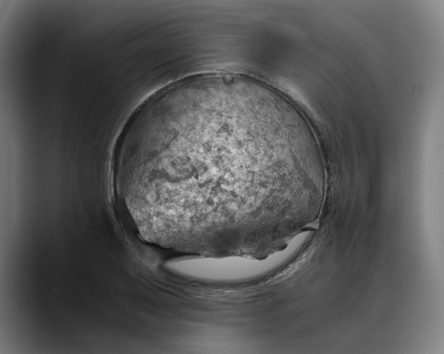 X0000089691079200707121332