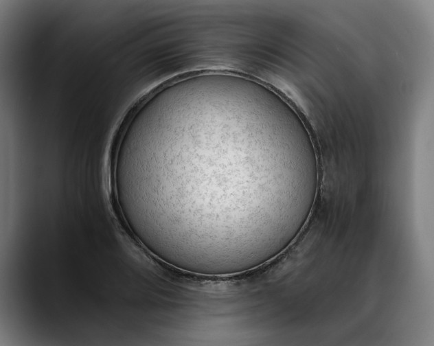 X0000089691080200707121332