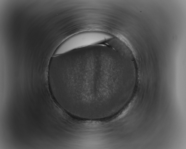 X0000089691081200707121332