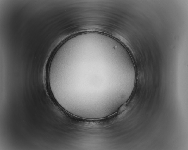 X0000089691082200707121332