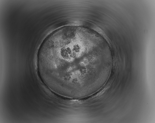 X0000089691083200707121332