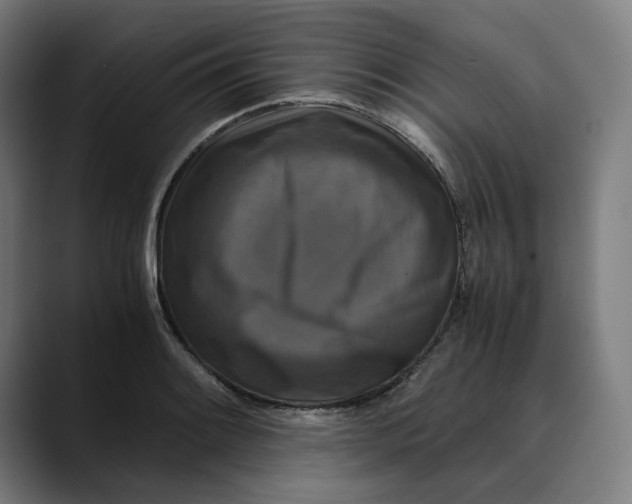 X0000089691084200707121332