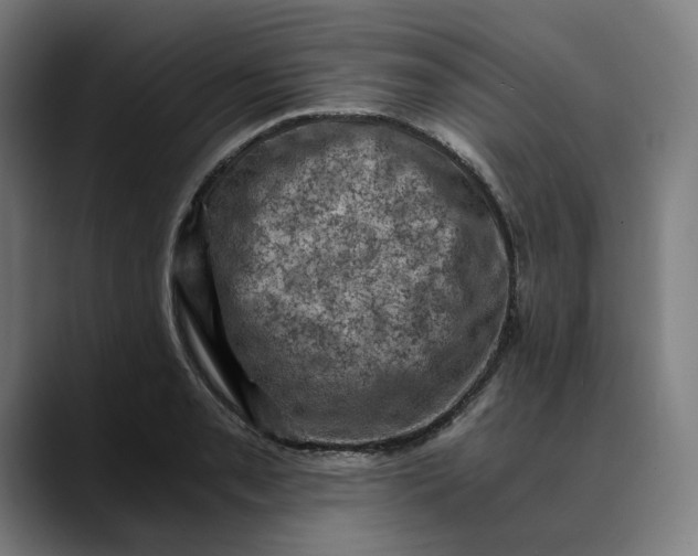 X0000089691085200707121332