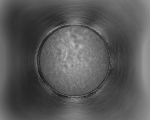 X0000089691086200707121332