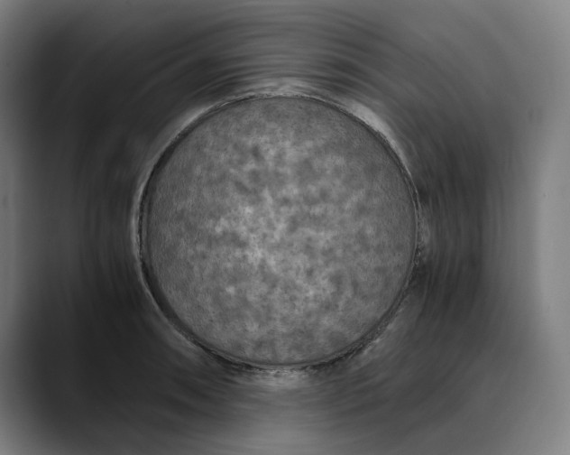 X0000089691090200707121332