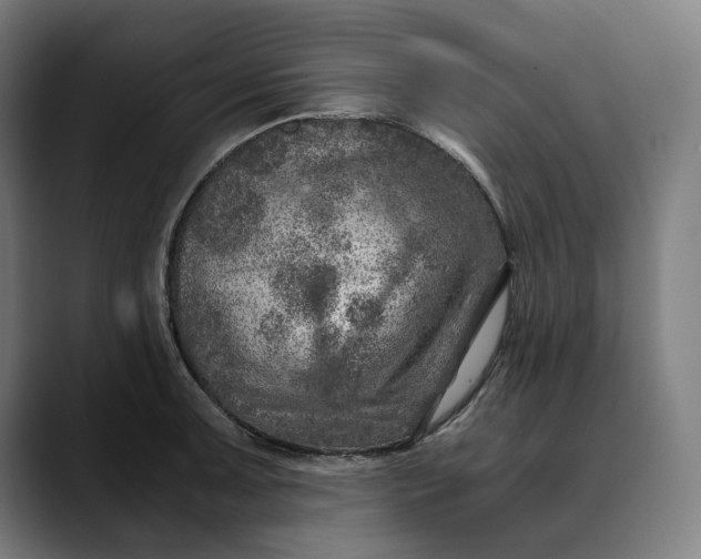 X0000089691091200707121332