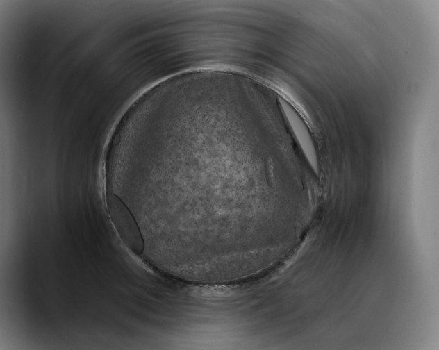 X0000089691092200707121332