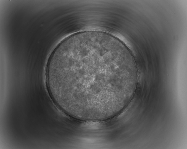 X0000089691094200707121332