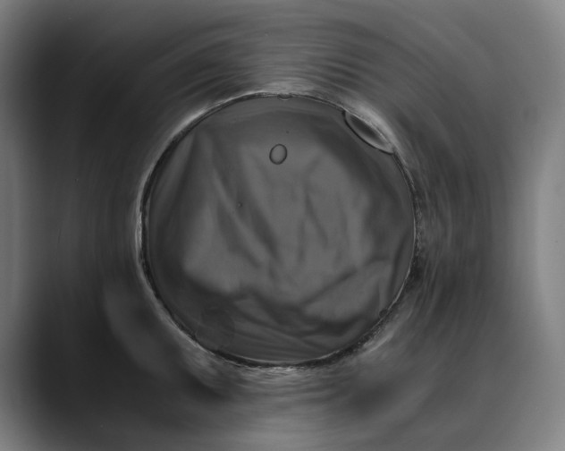 X0000089691095200707121332