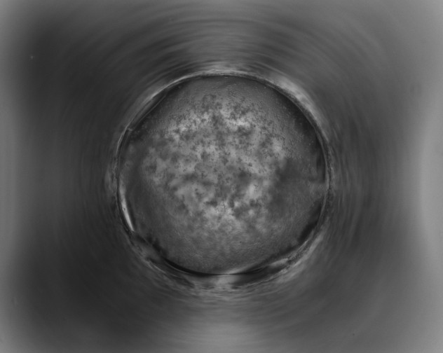 X0000089691097200707121332