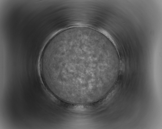 X0000089691098200707121332