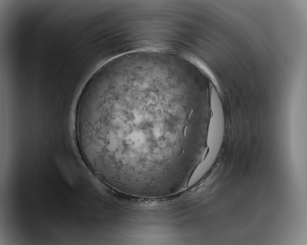 X0000089691099200707121332