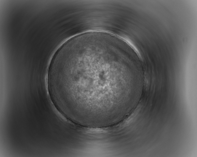 X0000089691100200707121331