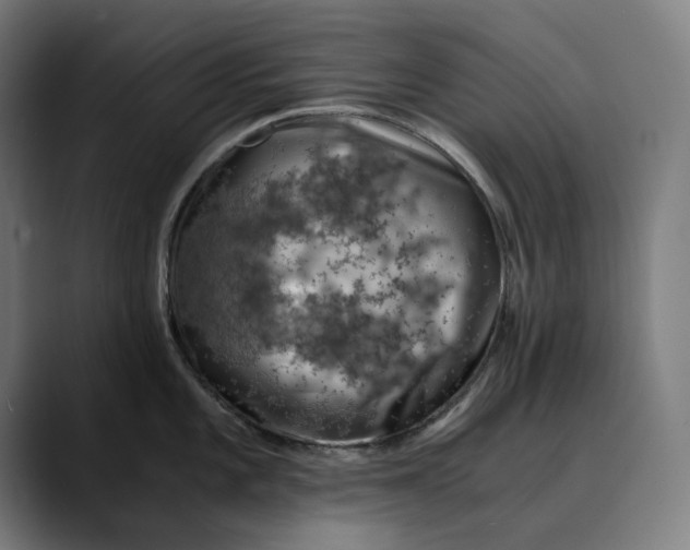 X0000089691101200707121331