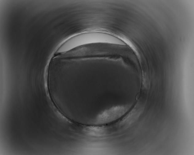 X0000089691102200707121331