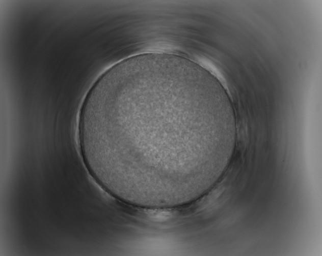 X0000089691103200707121331