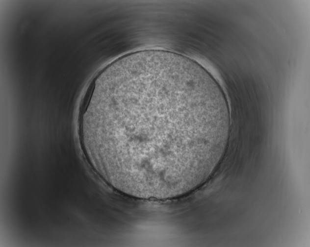 X0000089691104200707121331