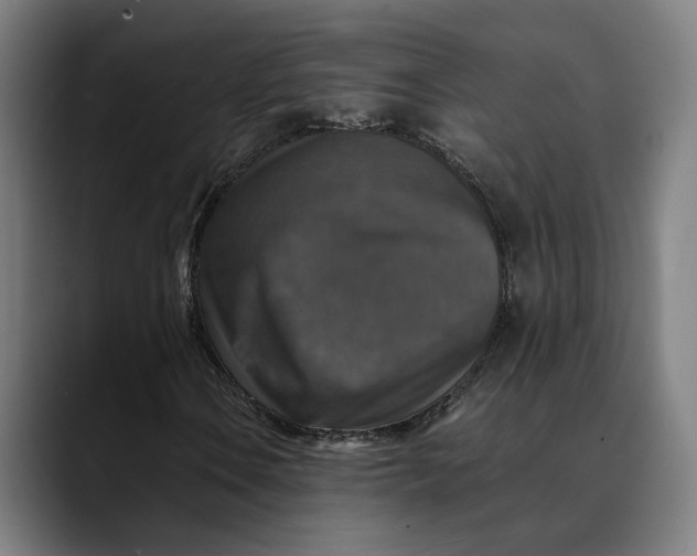 X0000089691106200707121331